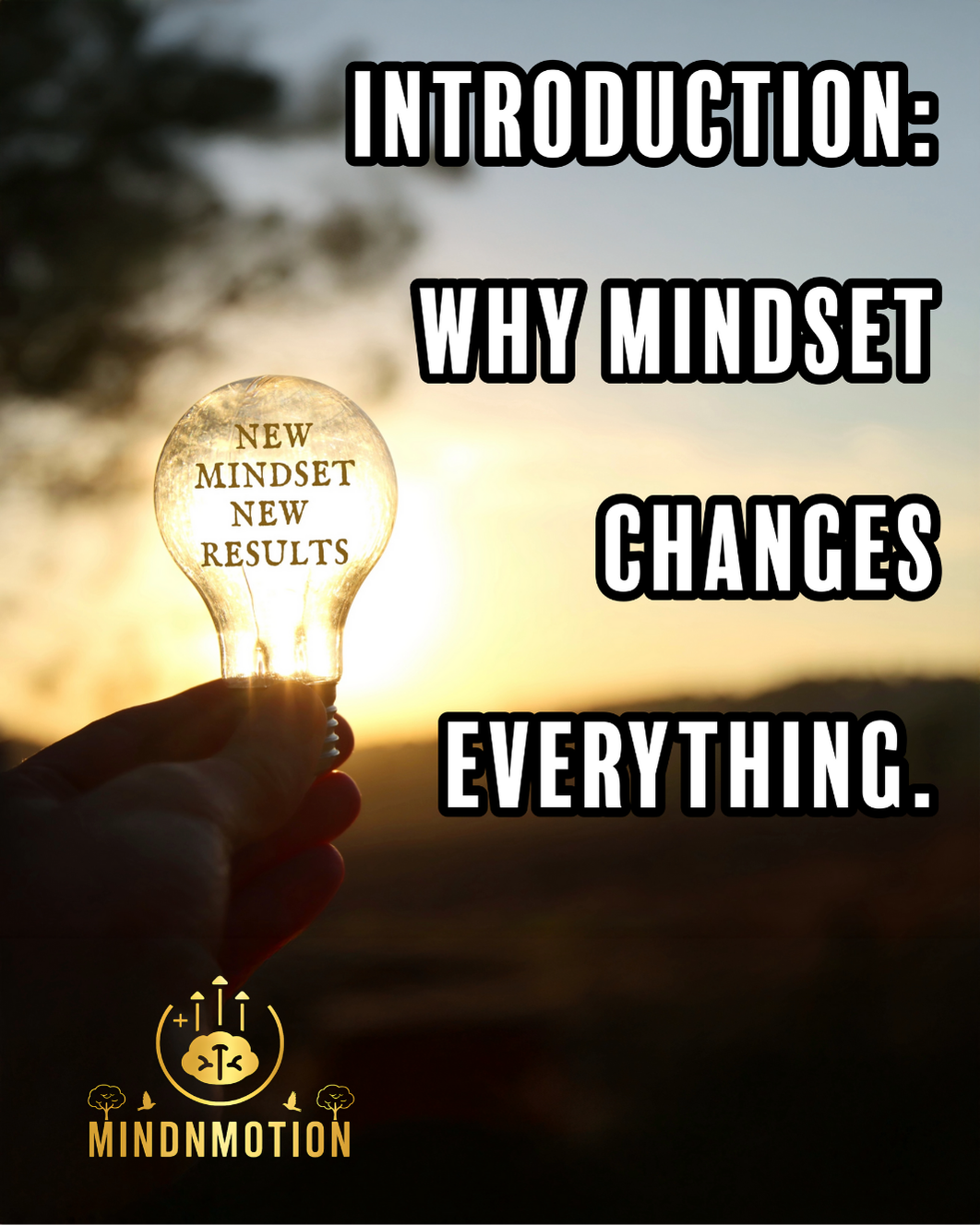 Developing a Growth Mindset: Unlock Your Full Potential
