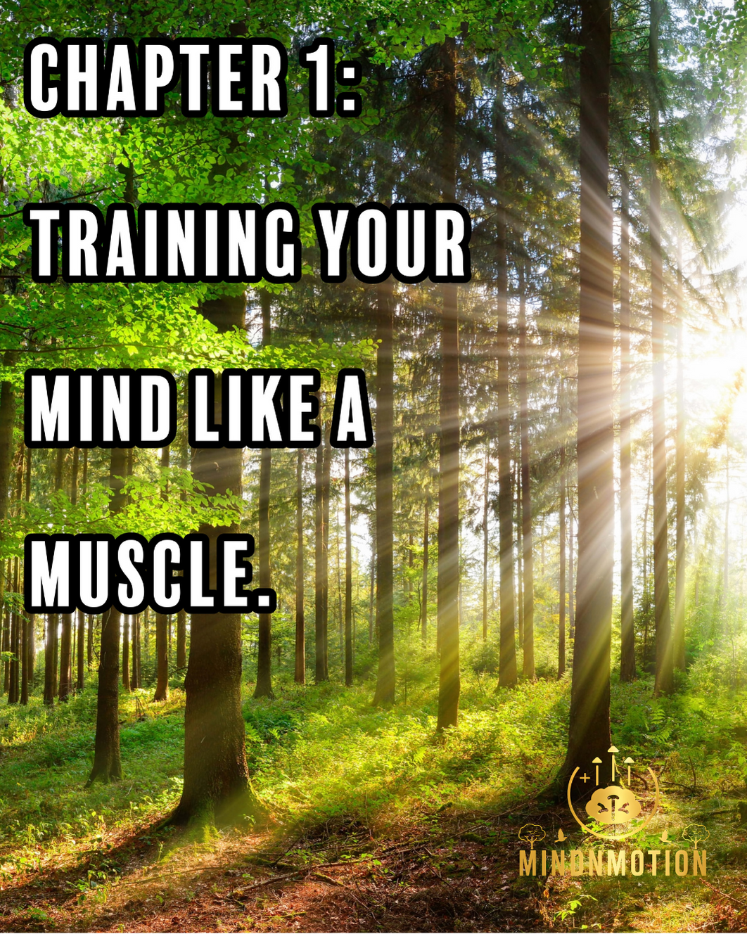 Mental Toughness 101: How to Stay Strong When Life Gets Hard